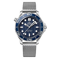 [VS팩토리 오메가전문][스페셜오더]OMEGA-오메가 씨마스터 다이버 300M 코-액시얼 스틸 42MM 