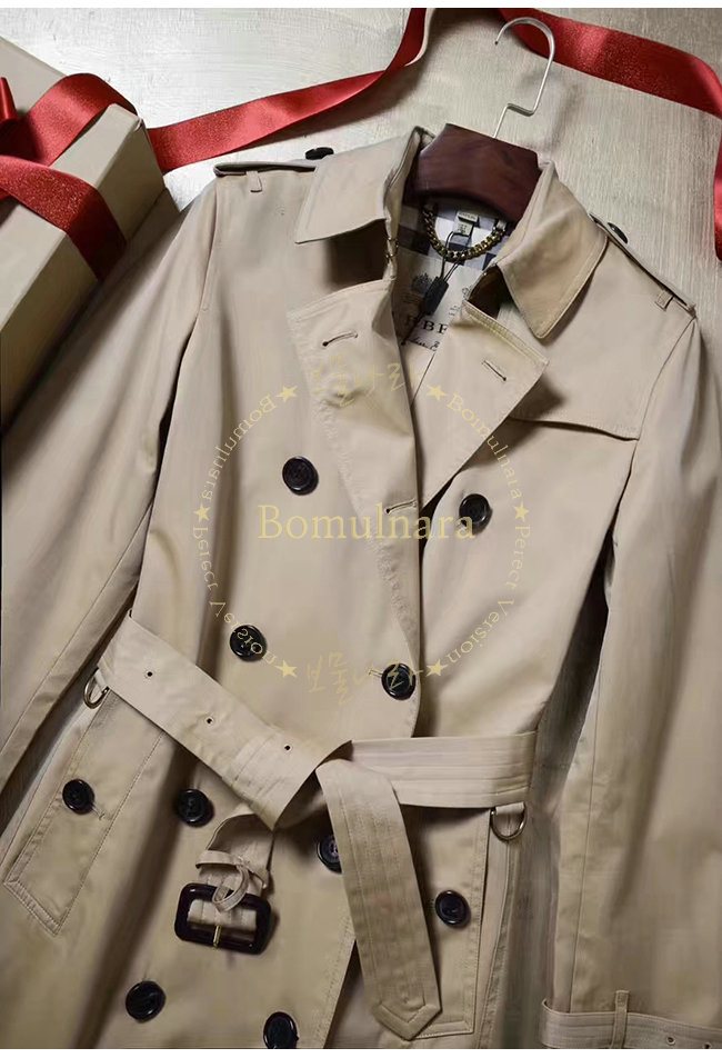 burberry8-1018-5.jpg