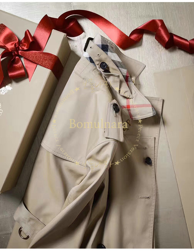 burberry8-1018-7.jpg