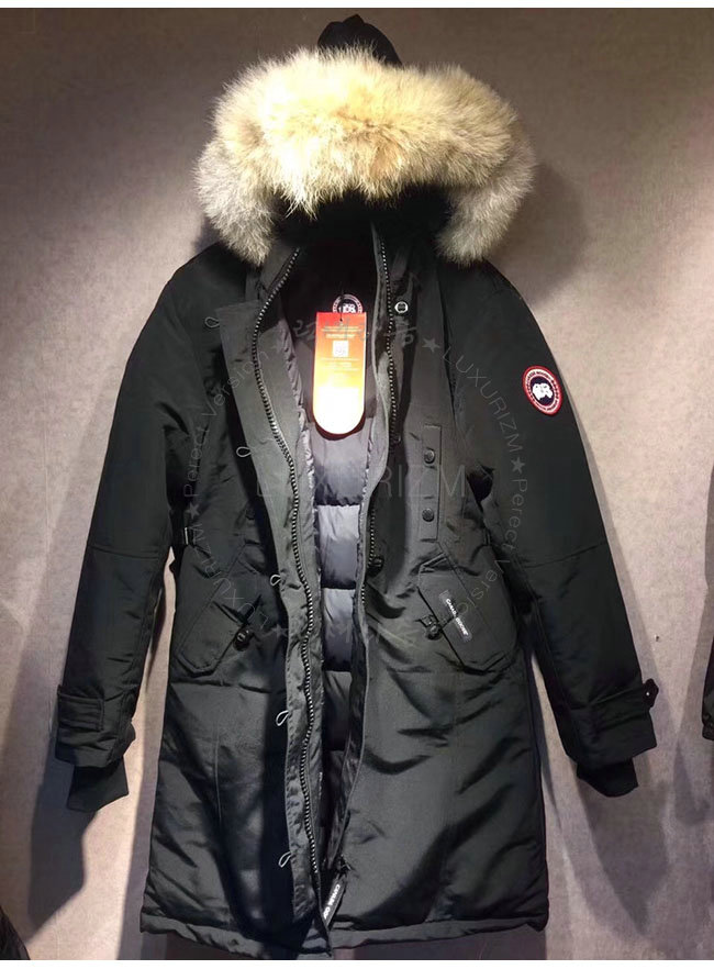 canada goose10-1021-5.jpg