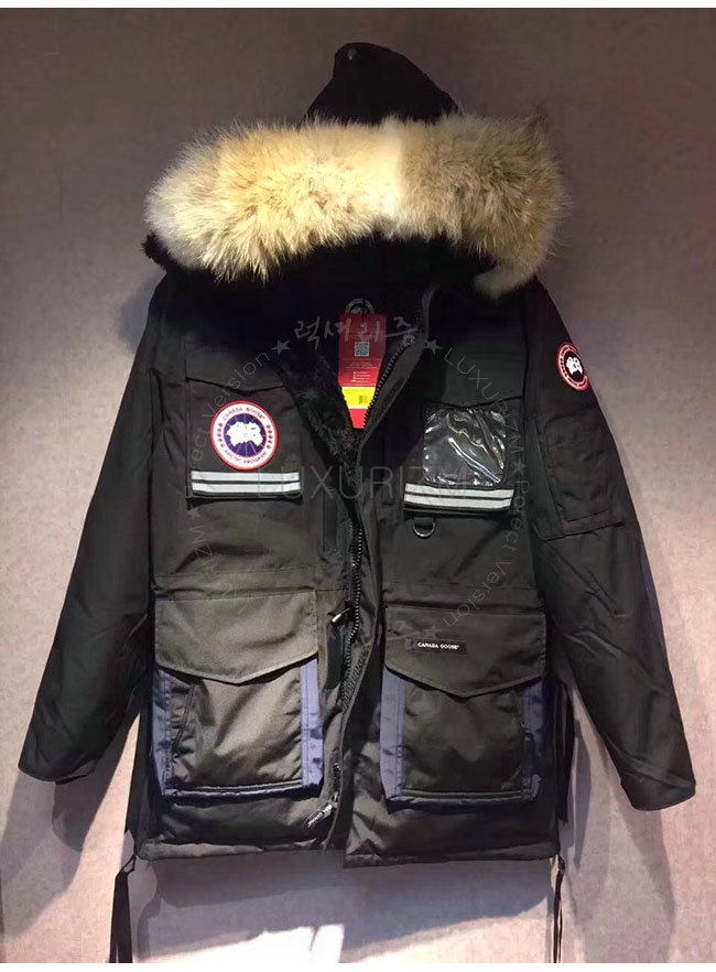 canada goose3-1021-4.jpg