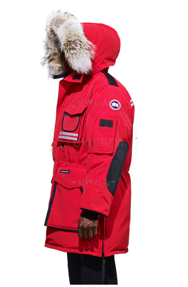 canada goose4-1021-3.jpg