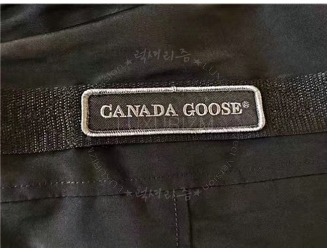 canada goose6-1021-9.jpg