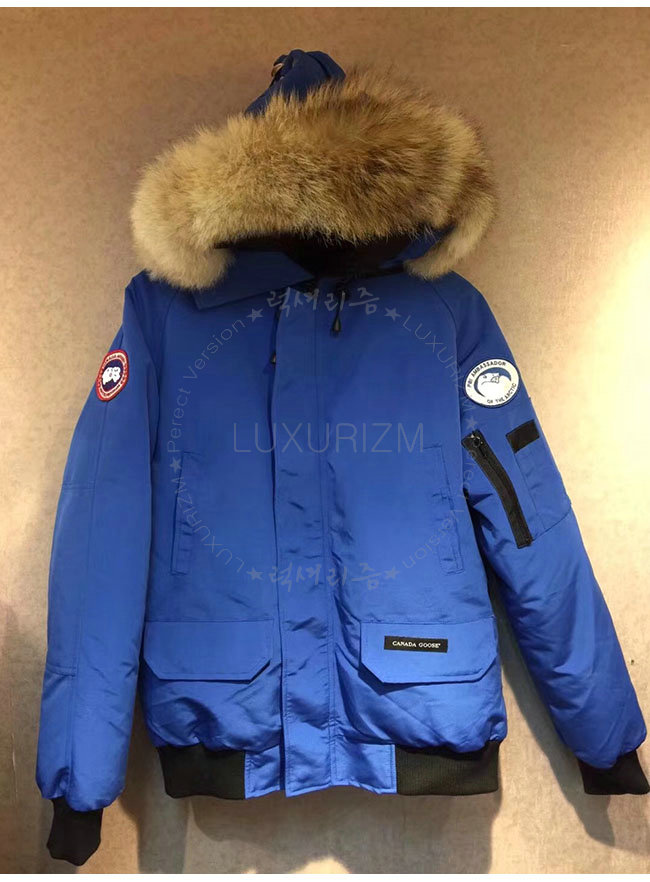 canada goose4-1023-6.jpg