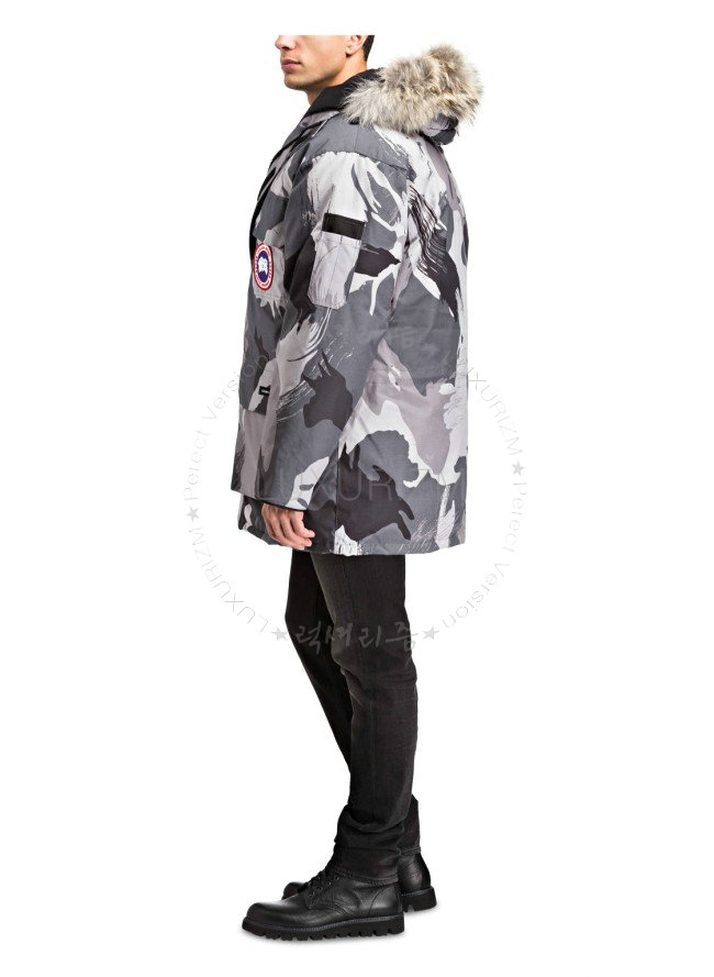 canada goose12-1103-2.jpg