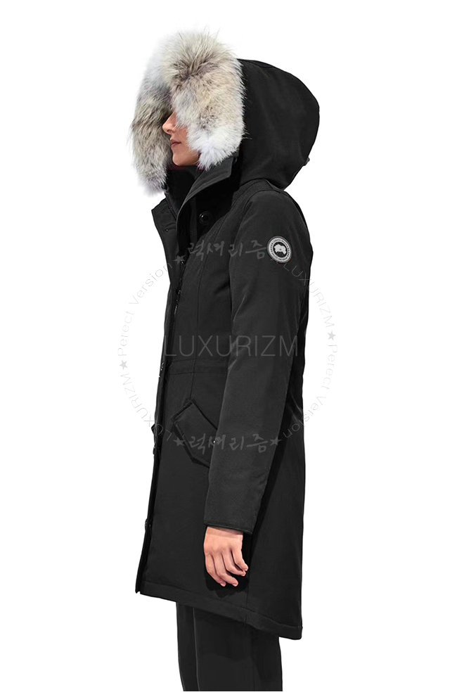 canada goose13-1103-02.jpg