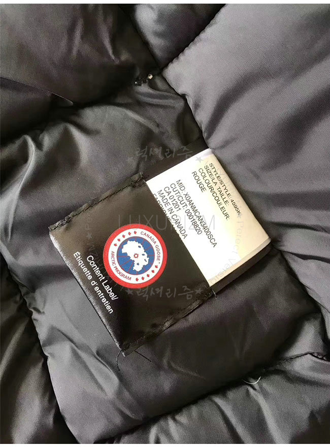 canada goose14-1103-11.jpg