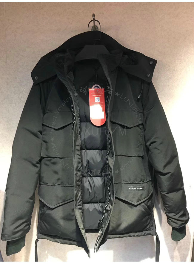 canada goose7-1103-6.jpg