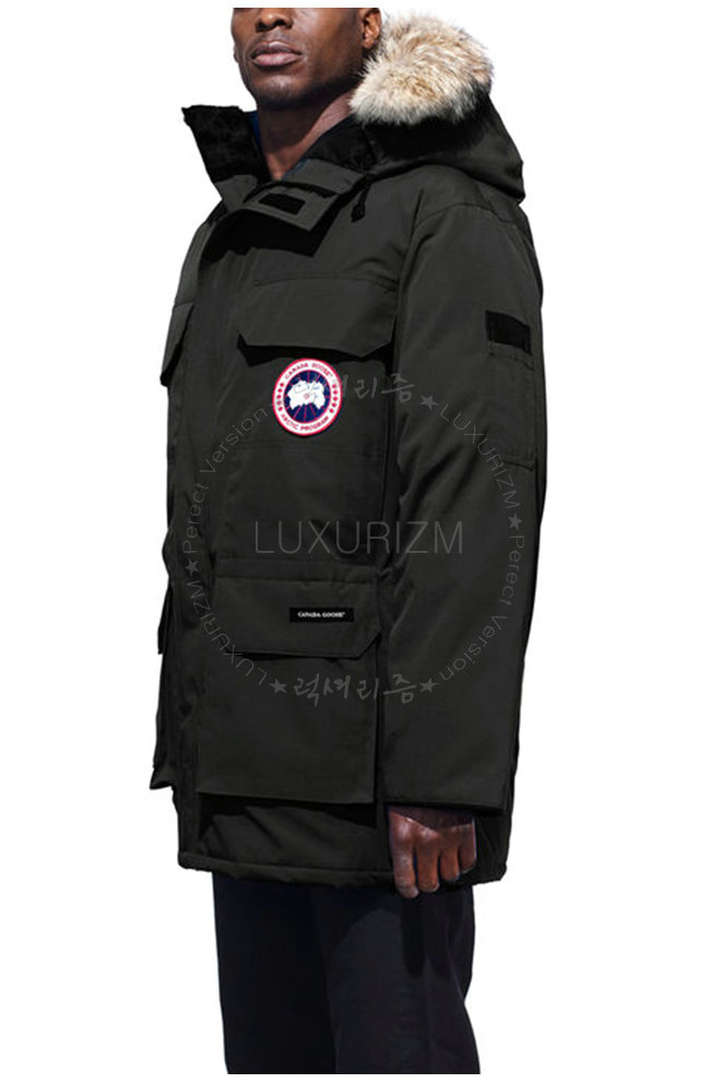 canada goose8-1103-2.jpg