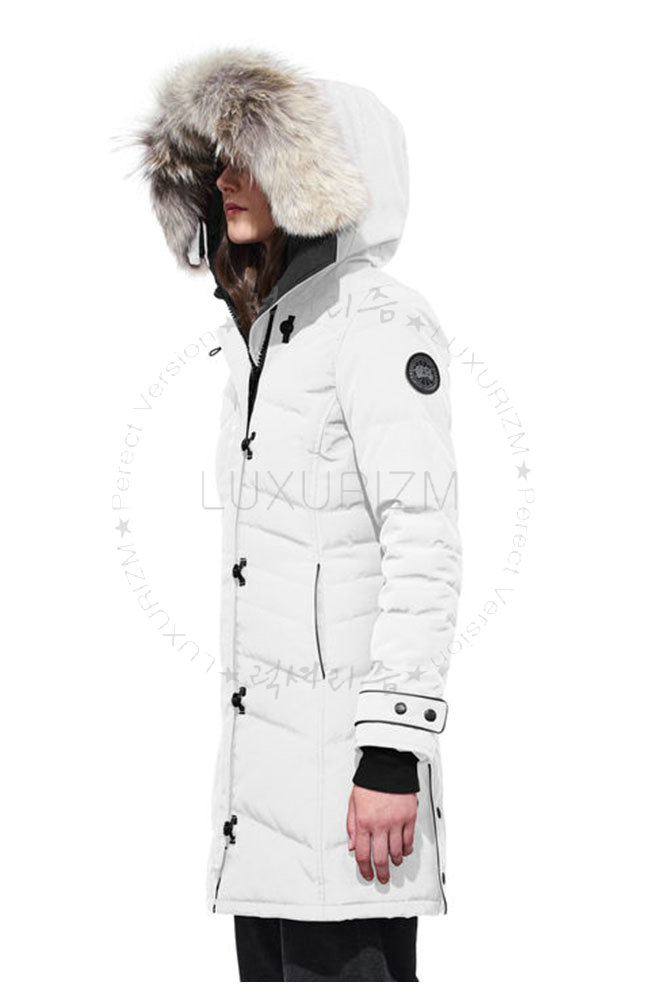 canada goose3-1107-2.jpg