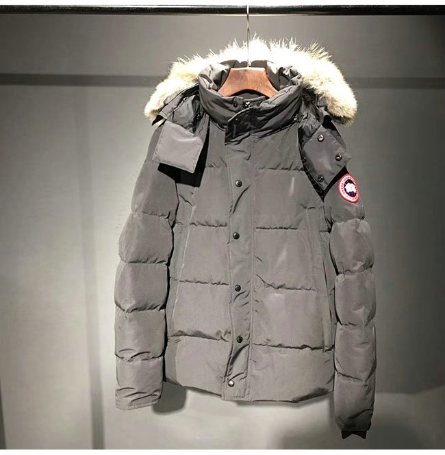 canada goose2-1108-1.jpg