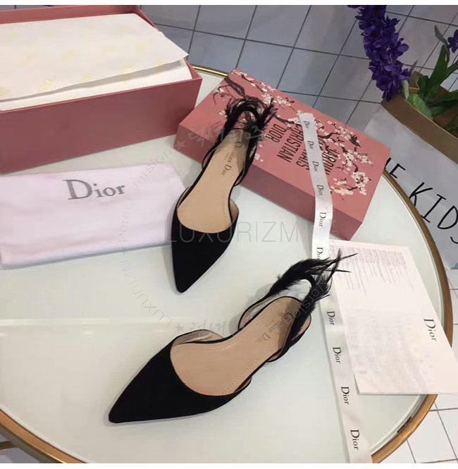 dior2-1225-4.jpg