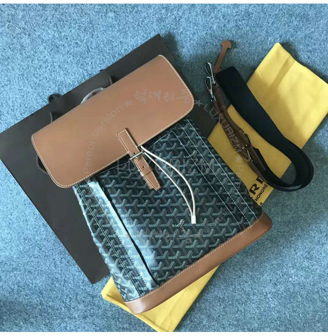 goyard1-0209-001.jpg